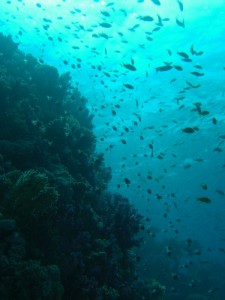 1211726758_urghada 2008 027