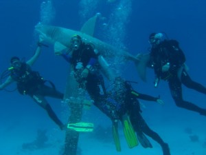 1211726759_urghada 2008 045