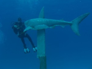 1211726760_urghada 2008 046