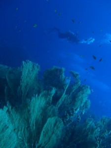 1211726760_urghada 2008 060