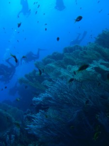 1211726760_urghada 2008 061