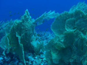 1211729823_urghada 2008 068