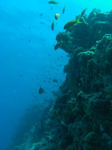 1211729826_urghada 2008 089