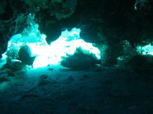 1211729831_urghada 2008 111