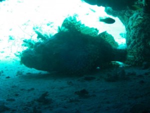 1211729831_urghada 2008 112