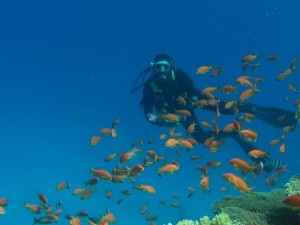 1211729907_urghada 2008 124