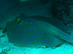 1211729907_urghada 2008 126