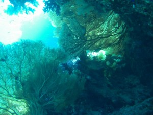 1211729910_urghada 2008 147