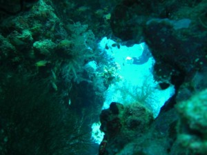 1211729910_urghada 2008 149