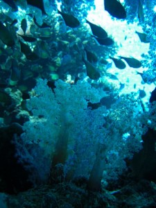 1211729911_urghada 2008 157