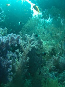 1211730018_urghada 2008 160