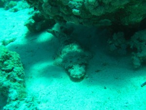 1211730020_urghada 2008 182