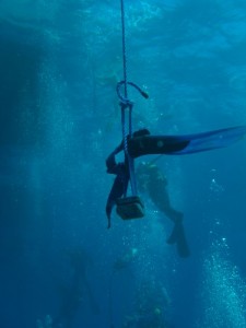 1211730022_urghada 2008 201