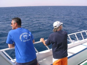 1211730295_hurghada 004