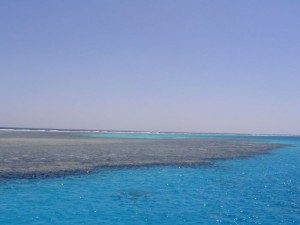 1211730298_hurghada 066 