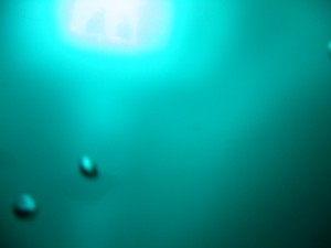 1239995614_Immersione Anterselva ( Bolzano ) 027 