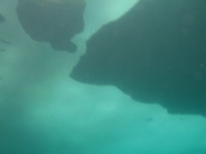 1269102337_IMG_0032