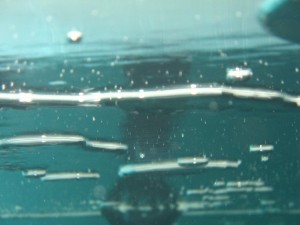 1269102337_IMG_0036