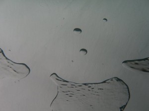 1269102371_IMG_0039