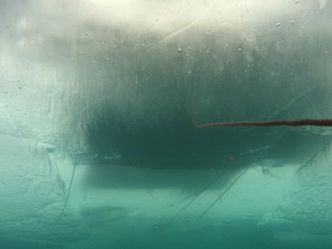 1269102371_IMG_0040