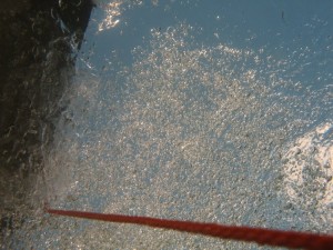 1269102371_IMG_0041