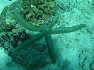 1212230653_IMG_3833