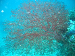 1212230727_IMG_3859