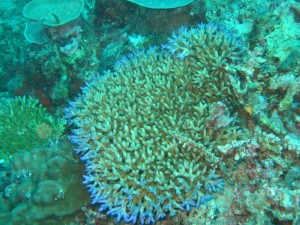 1212230728_IMG_3860