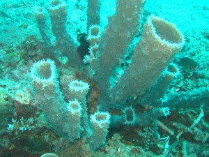 1212230728_IMG_3862