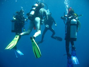 1212230743_IMG_4050 