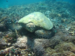 1212230789_IMG_4191 