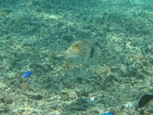 1212230789_IMG_4192 