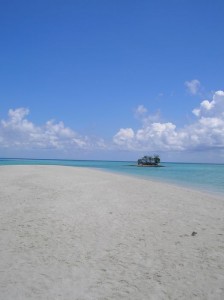 1179512907_asdu apr.2007 006