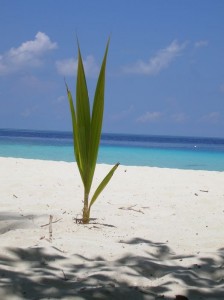 1179512910_asdu apr.2007 054