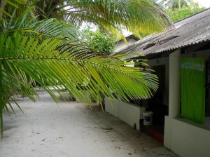 1179513270_asdu apr.2007 124