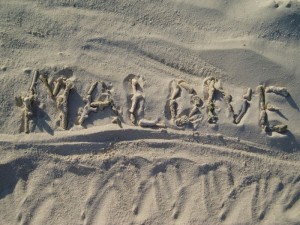 1179513271_maldive nico 025