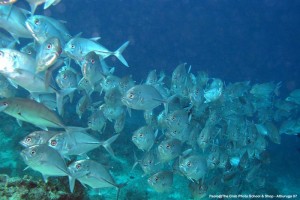 1195302251_IMG_1869_mod