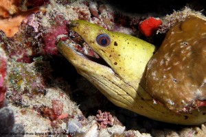 1195302253_P1010017_mod