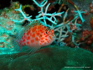 1195302253_P3040402_mod