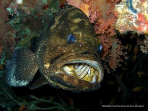 1195302253_P3040405_mod