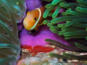 1195302253_P3040419_mod