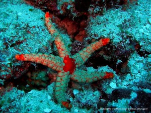 1195302254_P3060556_mod