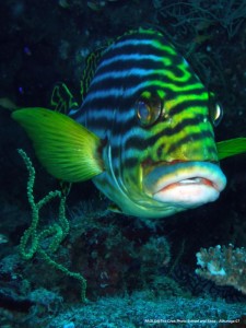 1195302254_P3070654_mod