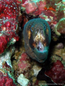 1195302255_P3090848_mod