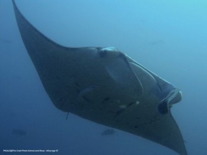 1195302255_P3131129_mod