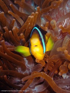 1195302255_P3141173_mod