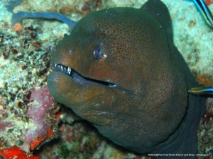 1195302255_P3141176_mod