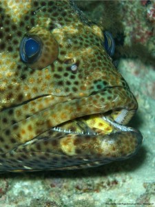 1195302257_P3151317_mod