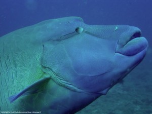 1195302257_P3181543_mod