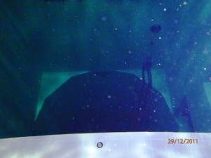 1329037658_027